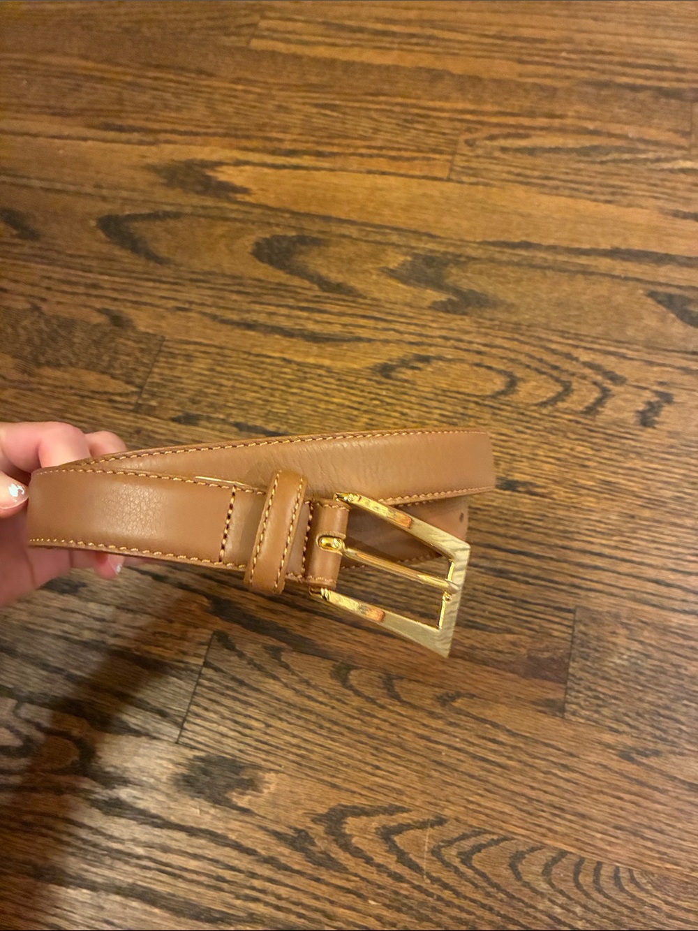 Aureum belt NWOT